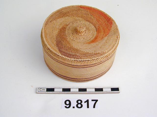 basket (containers); lids (containers)