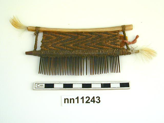 General view of object no. nn11243.