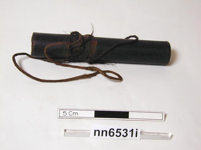 General view of object no. nn6531.