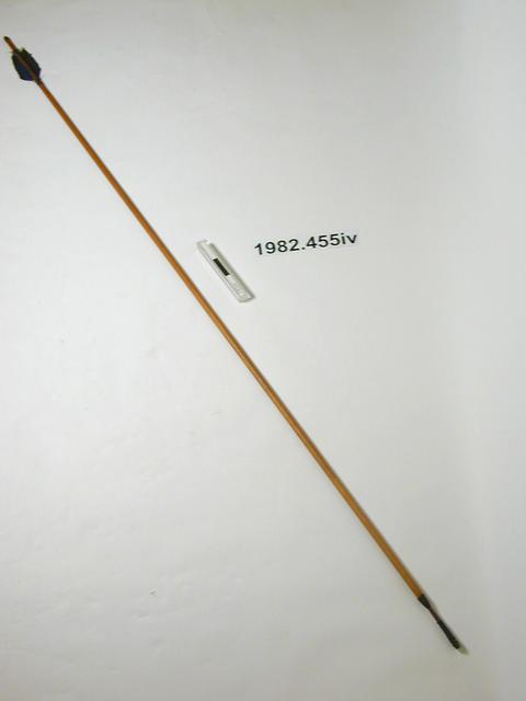 poison arrow (arrow (hunting, fishing & trapping))