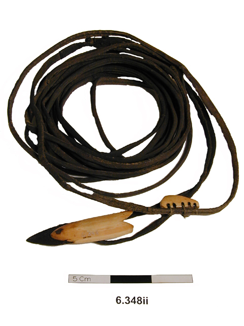 Image of walrus harpoon