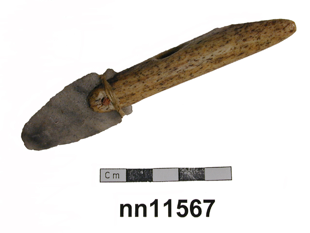 Image of harpoon arrow
