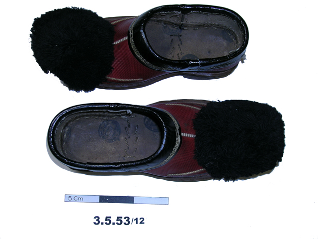 Image of shoes (clothing: footwear)
