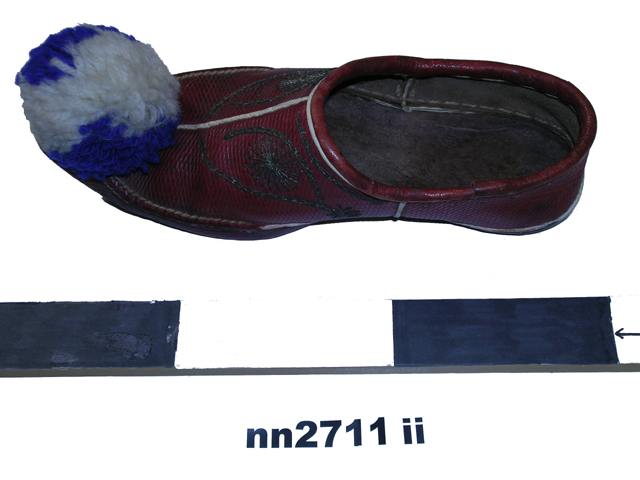 Image of moccasin