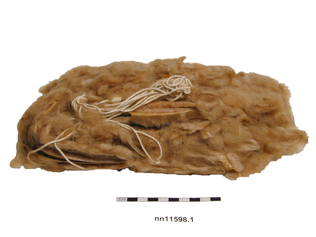 Image of sample (natural objects)