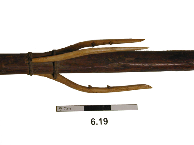 Image of bird spear