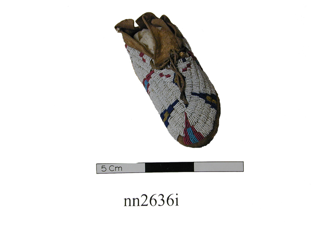image of moccasin