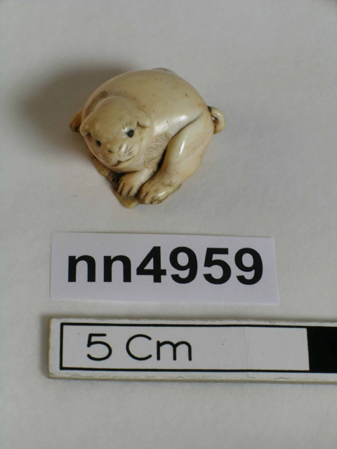 General view of object no. nn4959