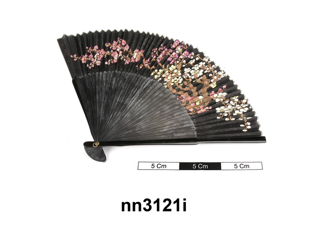 Image of fan (personal protection)