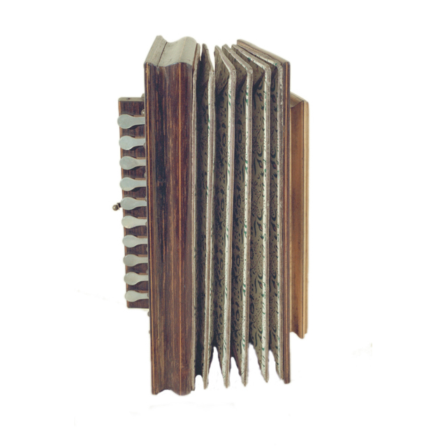 Image of 412.132-62 Sets of free reeds with flexible air reservoir