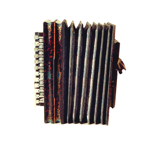 Image of 412.132-62 Sets of free reeds with flexible air reservoir