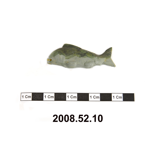 Image of fish