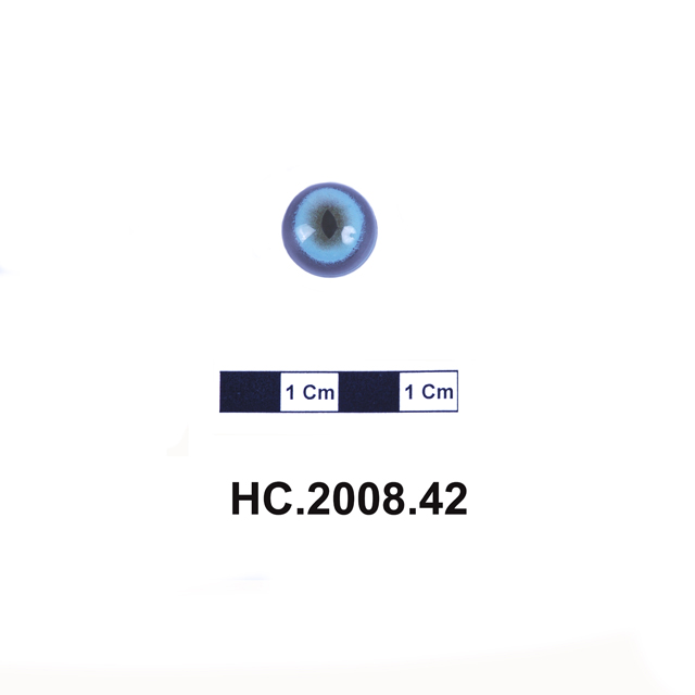 Image of taxidermy eye