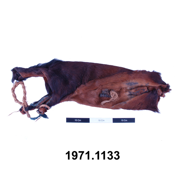 Image of water carrier (carrier (food processing & storage))