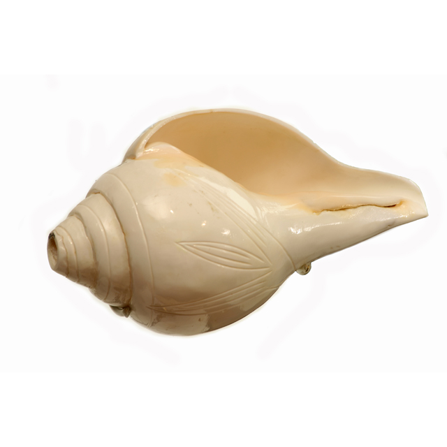 sankh; conch shell trumpet