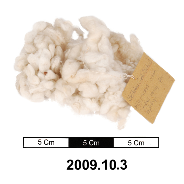 sample (natural objects)