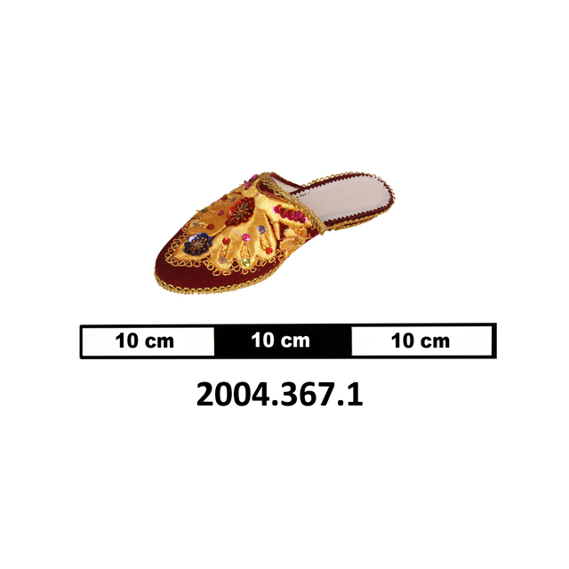 Image of shoe (clothing: footwear)
