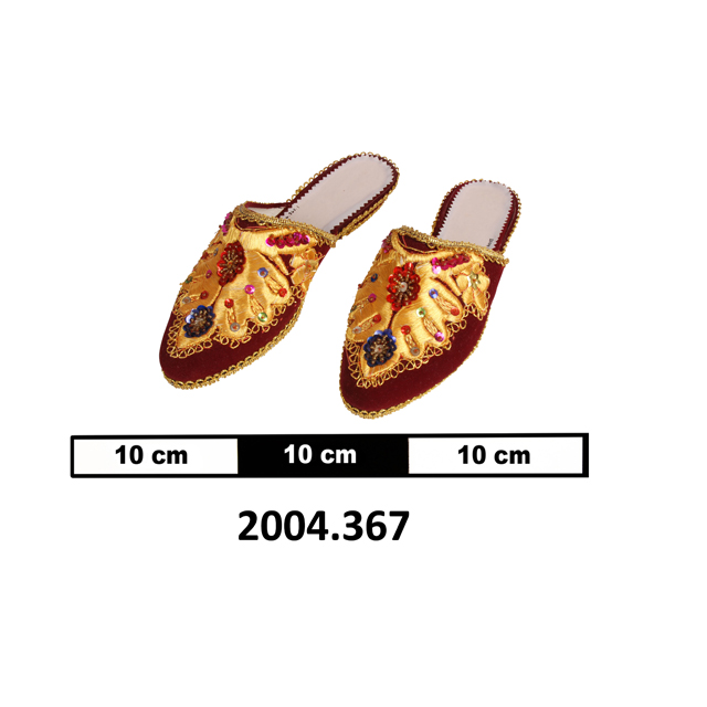 shoes (clothing: footwear)