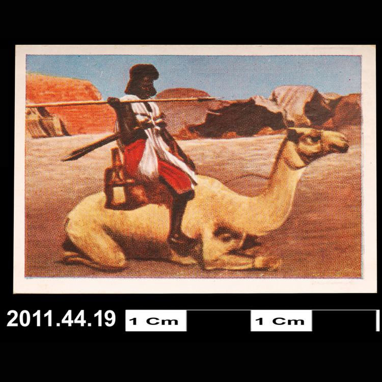 cigarette card