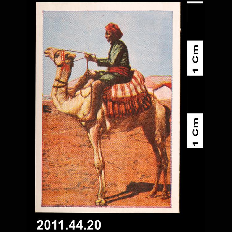 cigarette card