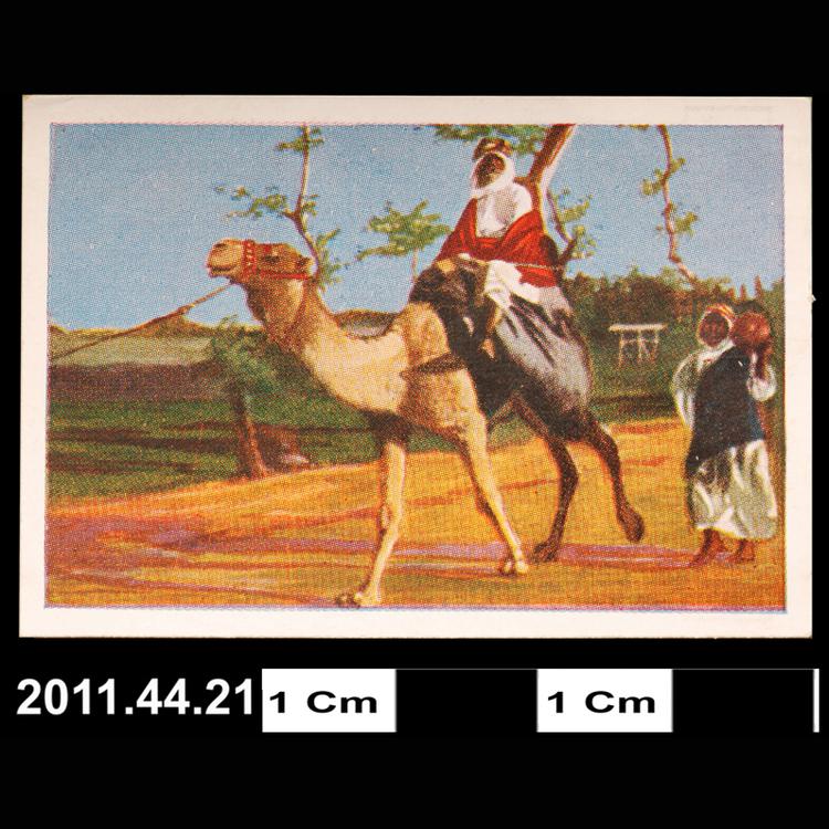 cigarette card