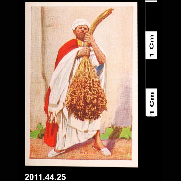 cigarette card