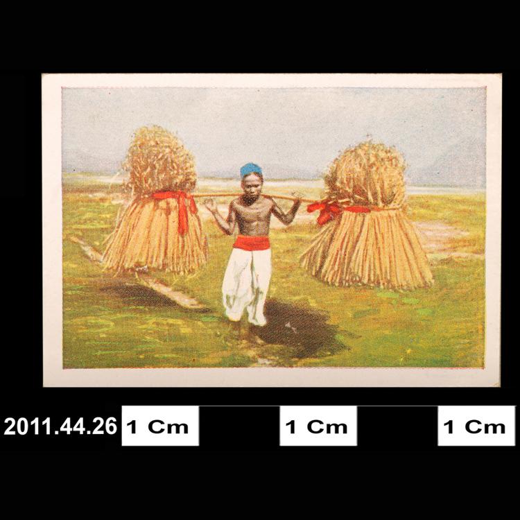 cigarette card