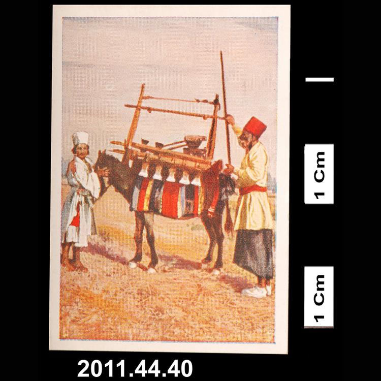cigarette card