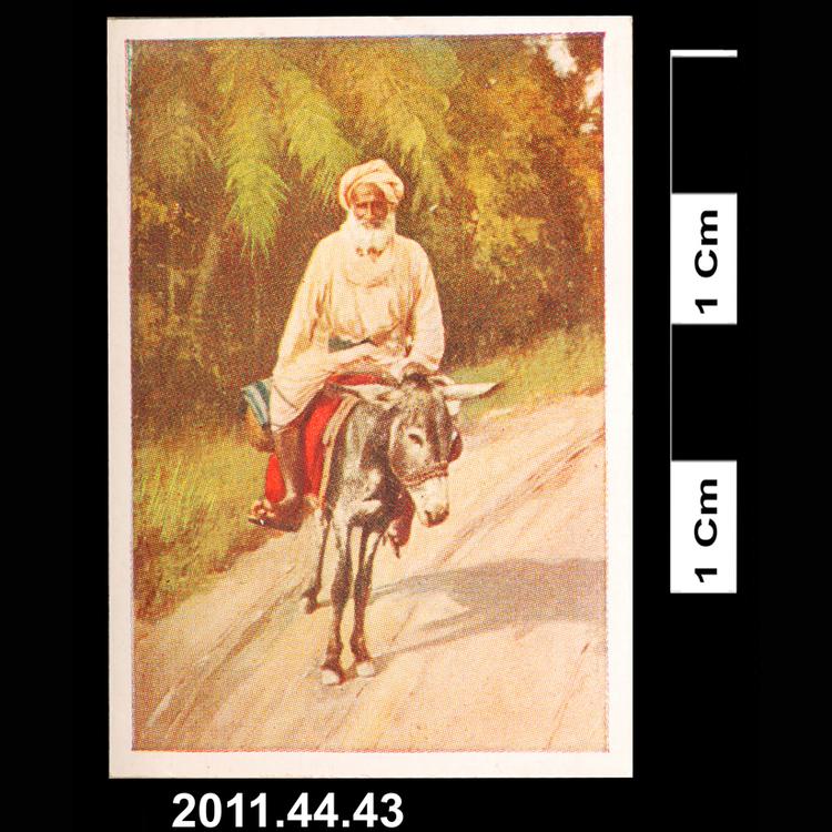 cigarette card