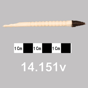 image of needle (tattoo instrument)