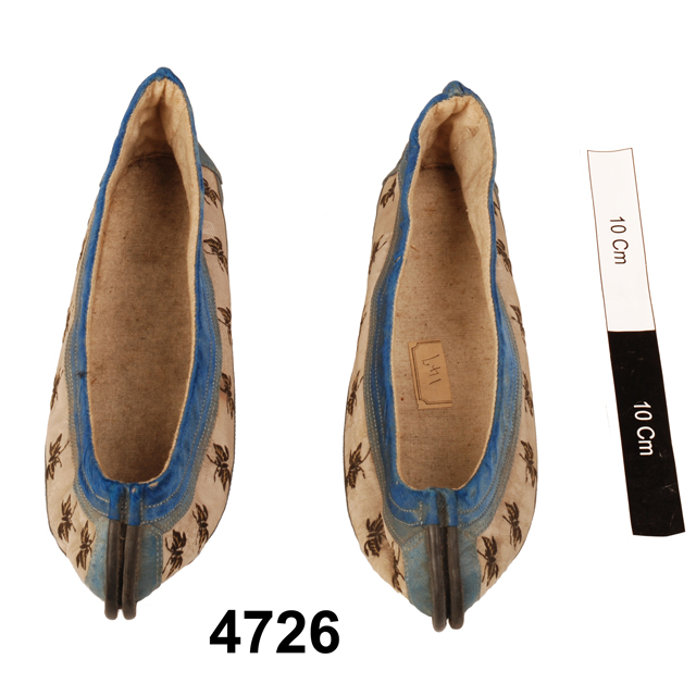 image of shoe (clothing: footwear)
