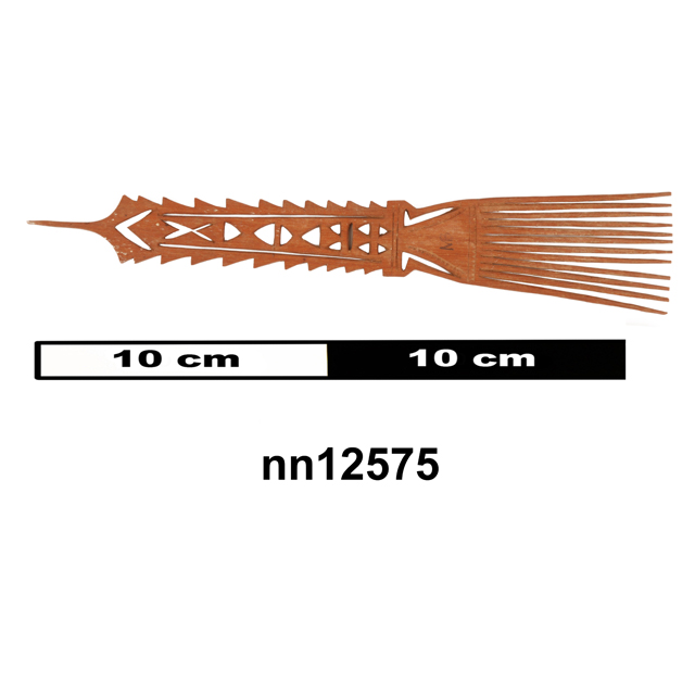 Image of comb (general & multipurpose)