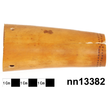 image of penis sheath