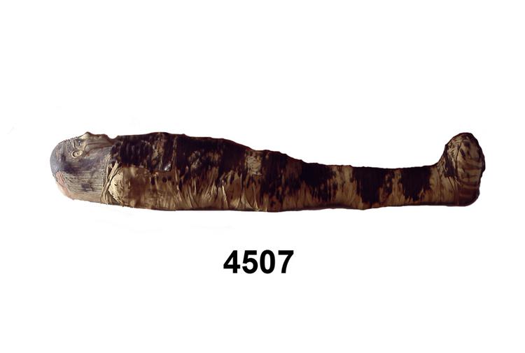 General view of object no. 4507.