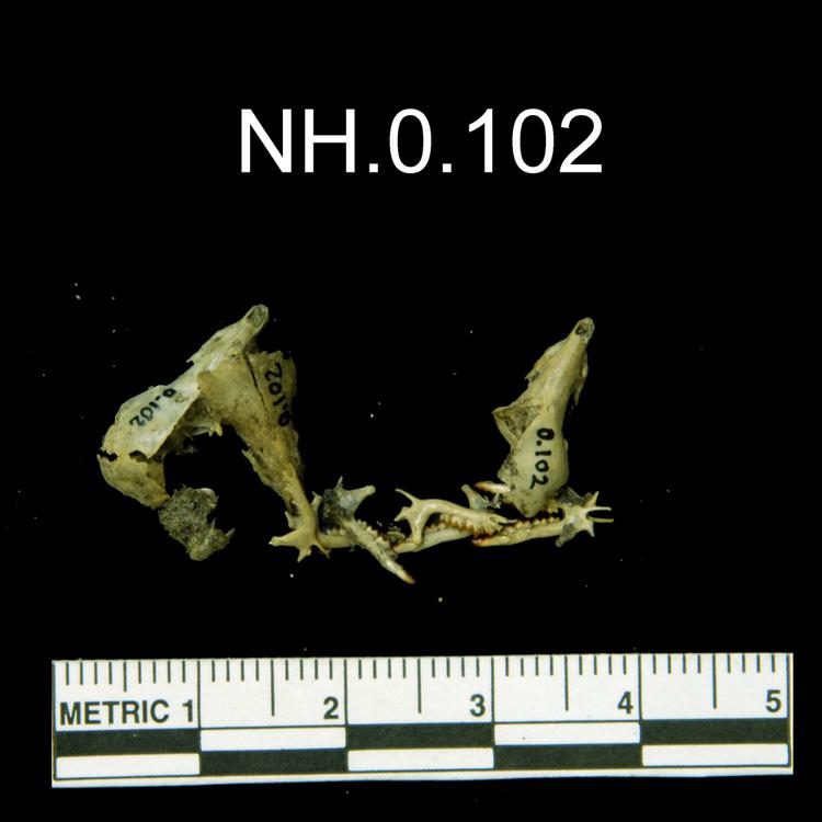 General view of object no. NH.0.102.