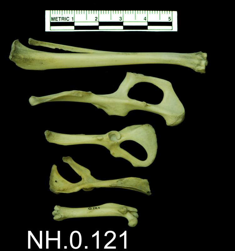 General view of object no. NH.0.121.