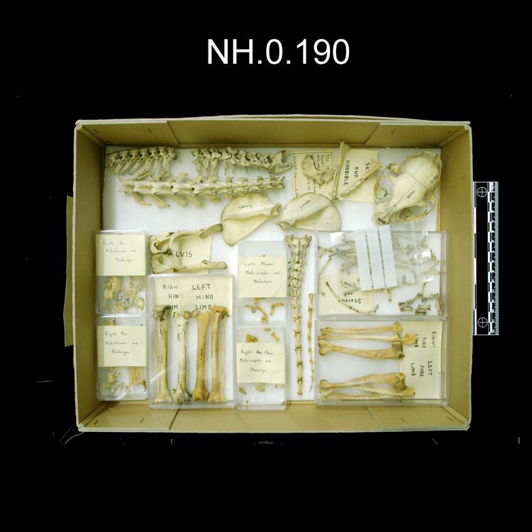 General view of object no. NH.0.190.