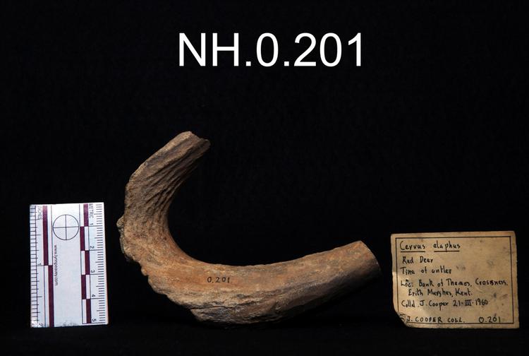 General view of object no. NH.0.201.