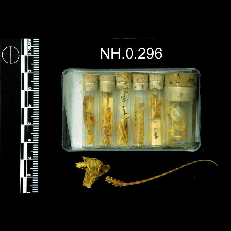 General view of object no. NH.0.296.