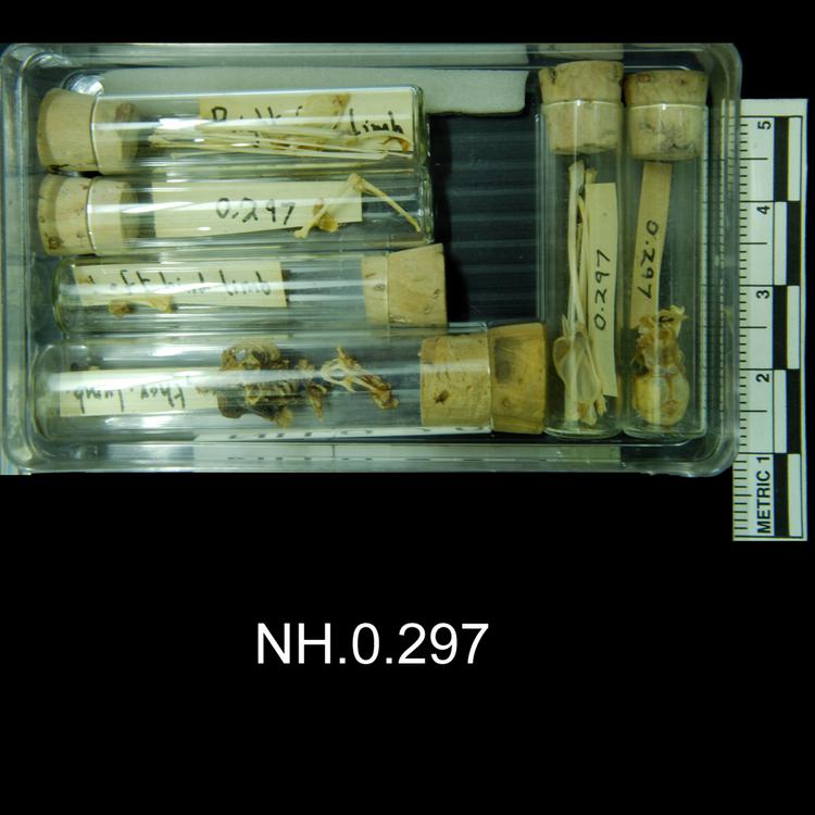 General view of object no. NH.0.297.