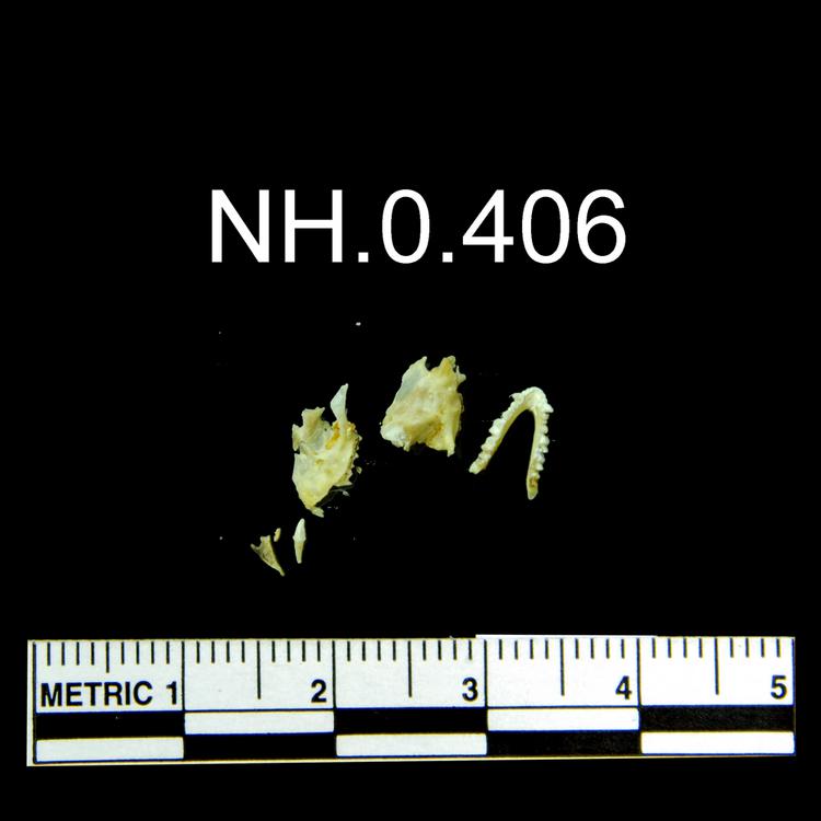 image of General view of object no. NH.0.406.