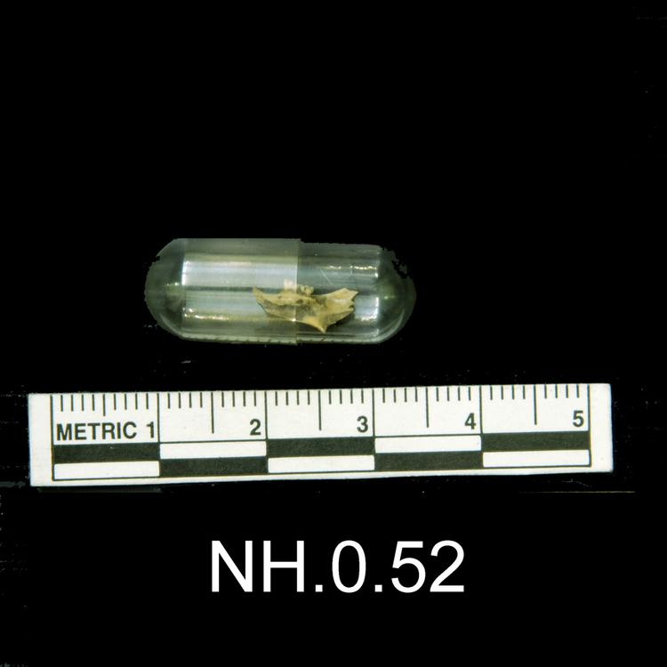 General view of object no. NH.0.52.