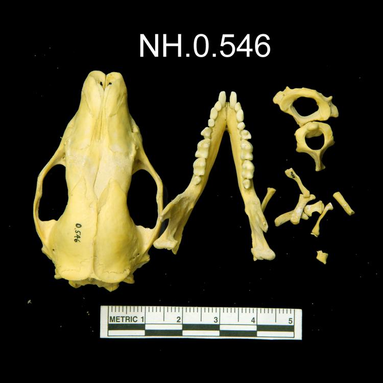 General view of object no. NH.0.546.