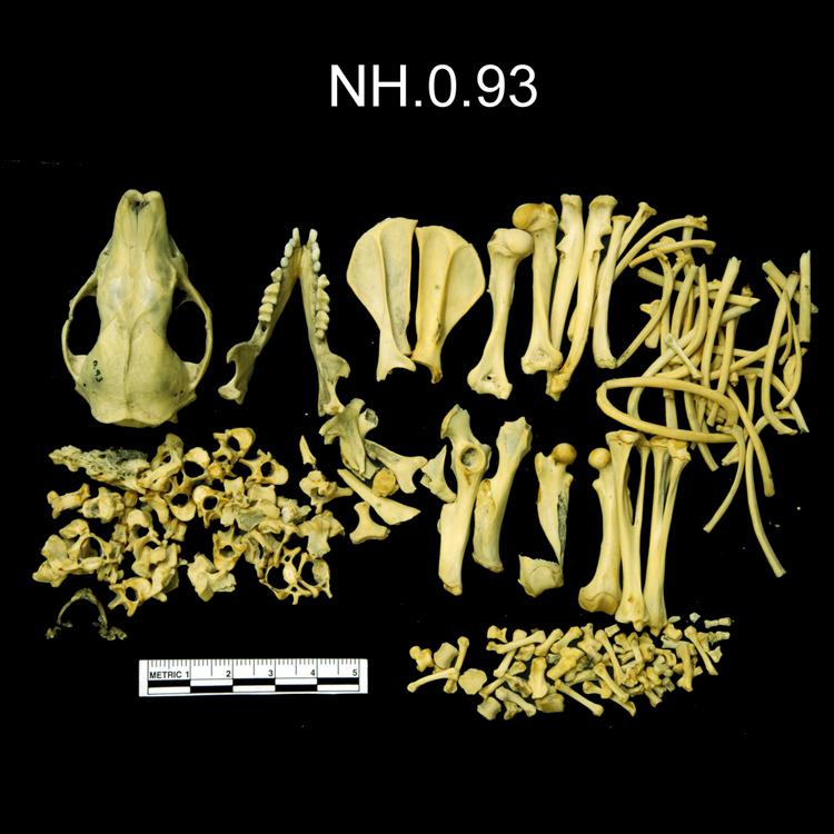 General view of object no. NH.0.93.