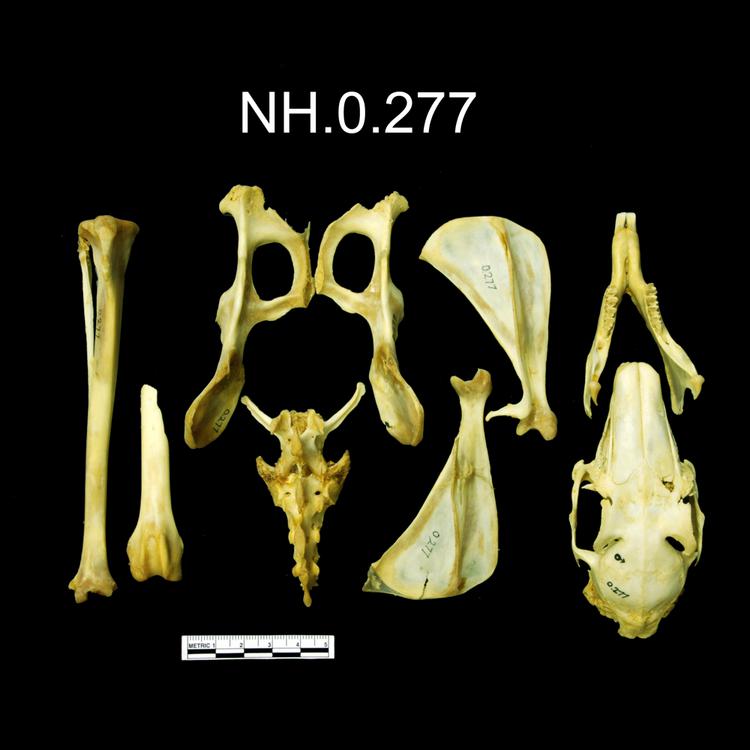 General view of object no. NH.0.277.