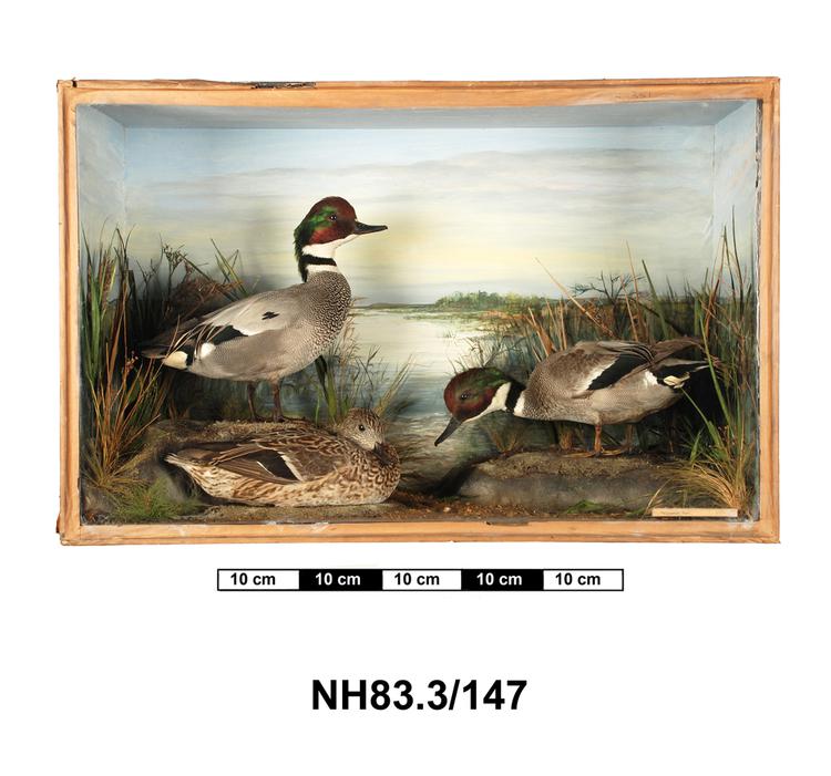General view of object no. NH.83.3/147.