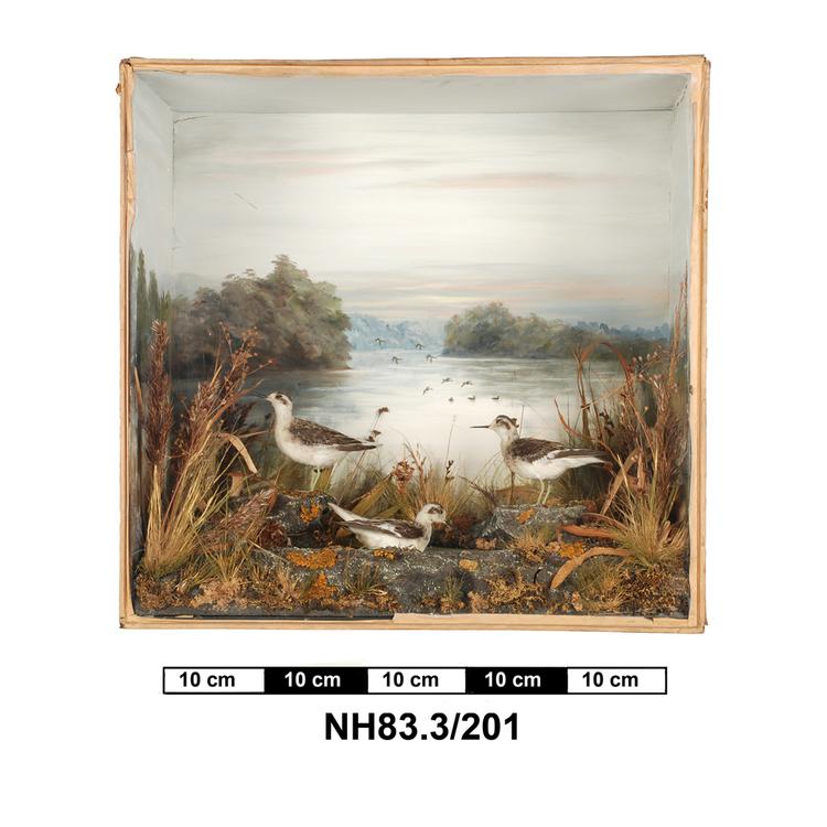 General view of object no. NH.83.3/201.