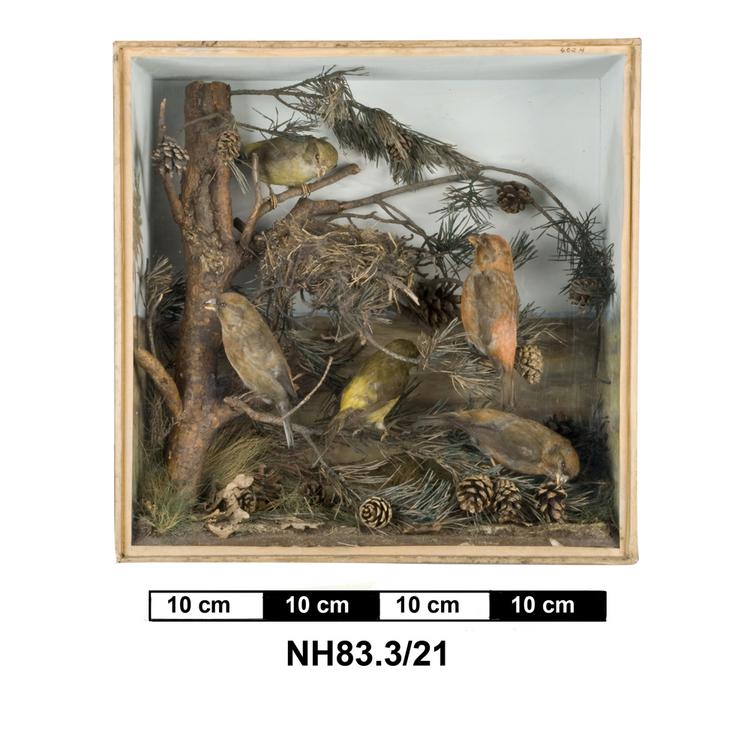 General view of object no. NH.83.3/21.