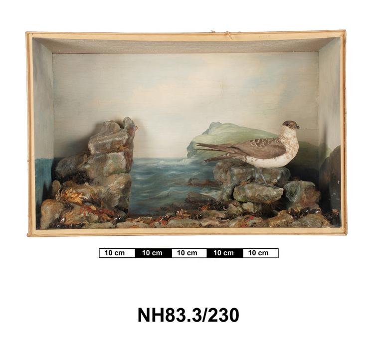 General view of object no. NH.83.3/230.
