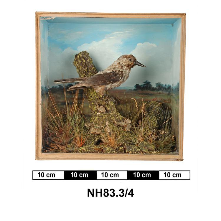 General view of object no. NH.83.3/4.